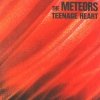 The Meteors - Teenage Heart (1979)