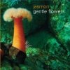 jasmon - gentle flowers (2004)