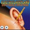 Butthole Surfers - Electriclarryland (1996)