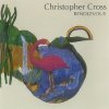 Christopher Cross - Rendezvous (1992)