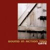 Ken Vandermark's Sound In Action Trio - Gate (2007)