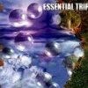 Essential Trip - Trip To Inner Self (2004)