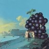 Moby Grape - Wow (CD W/Bonus Tracks) (2007)