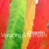 Dreamlin - Versions & Remixes 