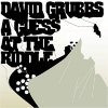 David Grubbs - A Guess At The Riddle (2004)