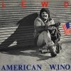 The Lewd - American Wino (1982)