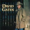 David Gates - Love Is Always Seventeen (1995)
