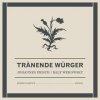 Johannes Frisch - Tränende Würger (2005)