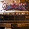 Gin Blossoms - New Miserable Experience (1992)