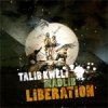Madlib - Liberation (2007)