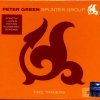Peter Green & The Splinter Group - Time Traders (2001)