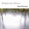 David Newlyn - Relatively Down (2007)