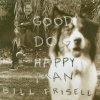 Bill Frisell - Good Dog, Happy Man (1999)