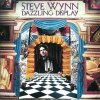 Steve Wynn - Dazzling Display (1992)