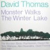 David Thomas And The Wooden Birds - Monster Walks The Winter Lake (1986)