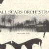 All Scars Orchestra - New Scars 2004 (2004)