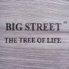 Big Street M.P. - The Tree Of Life