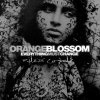 Orange Blossom - Everything must change (2004)