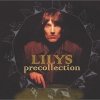 Lilys - Precollection (2003)