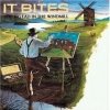 It Bites - The Big Lad In The Windmill (1986)