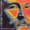David Crosby - Thousand Roads (1993)