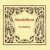 Mandelbrot - Evolution (2009)