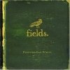 Fields - Everything Last Winter (2007)