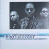 Daryl Burgee - Brotherzone (1999)