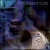 Introspect Void - Reality is Defective (2007)