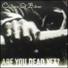 Children Of Bodom - Are You Dead Yet? (2005)
