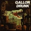 Gallon Drunk - You, The Night ... And The Music (1992)