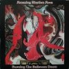 The Amazing Rhythm Aces - Burning The Ballroom Down (1978)
