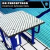 Dr Perceptron - Points Of Intersection (2005)