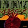 Eleventh Dream Day - Beet (2001)