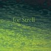 Joe Strell - Under A Mackerel Sky (2005)