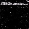 Carsten Jost - You Don't Need A Weatherman To Know Which Way The Wind Blows (2001)