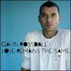 GAVIN ROSSDALE - Love Remains the Same