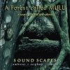 A Forest Called Mulu - A Search For The Unexplored (1997)