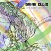 Brian Ellis - The Silver Creature (2007)