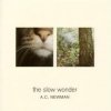 A.C. Newman - The Slow Wonder (2004)