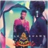 Little Shawn - The Voice In The Mirror (1992)