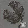 Pet Shop Boys - Release (2002)