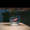 David Grubbs - The Thicket (1998)