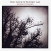 Brian Blade - Season Of Changes (2008)