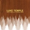 Luke Temple - Hold A Match For A Gasoline World (2005)