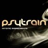 Psytrain - Mystic Ingredients (2007)