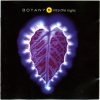Botany 5 - Into The Night (1991)