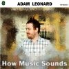 Adam Leonard - How Music Sounds (2003)