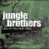 Jungle Brothers - You In My Hut Now (2002)