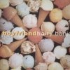 Boyfriend - Hairy Banjo (1993)